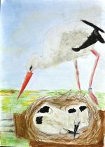 Szarková Zsófia Bernadett.jpg